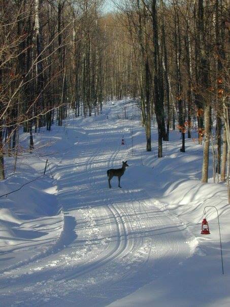 Porcupine Mountains Cross Country Ski