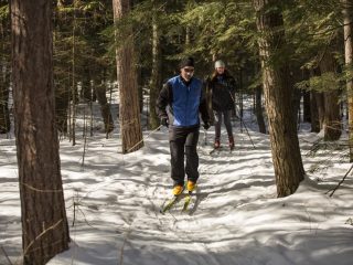 Trout Creek Condominium Resort XC Skiing